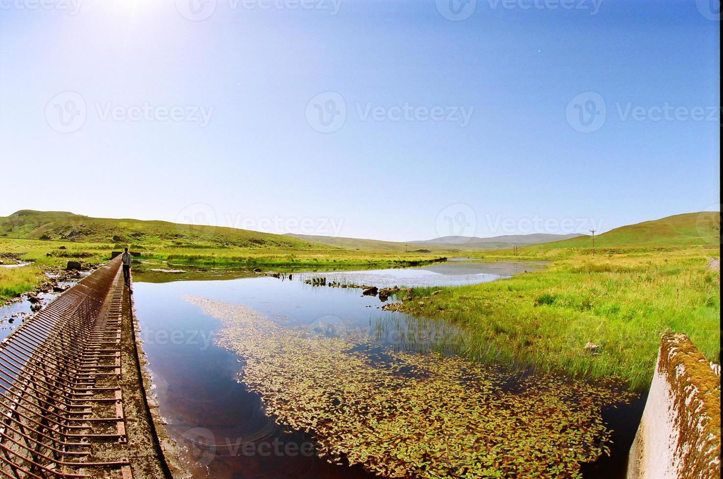 blauw water en groene weide foto