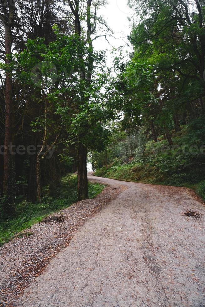 weg in de bergen in de lente foto