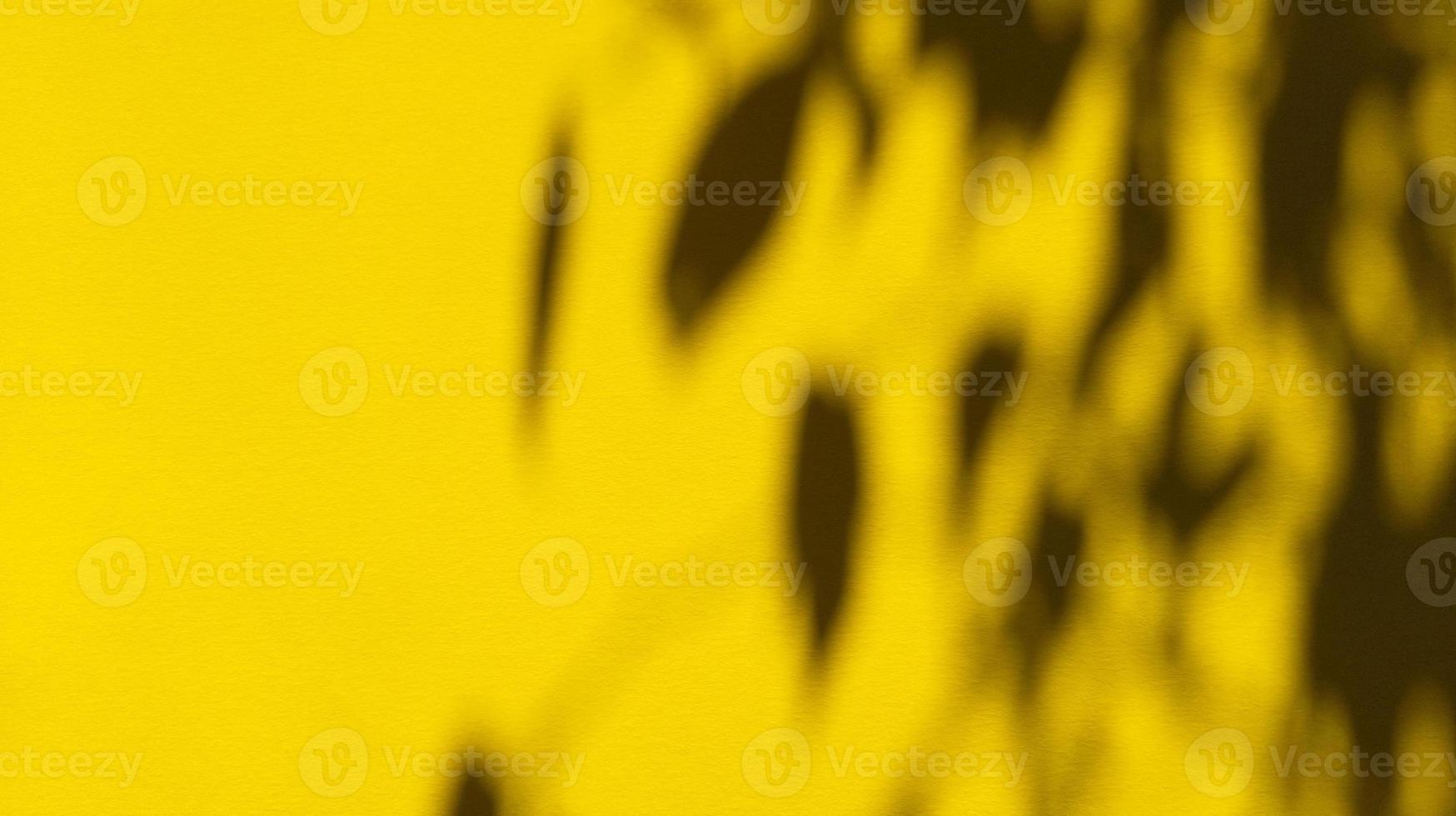 laat schaduwen achter op geel pastelpapier. abstracte achtergrond. Stock foto. foto