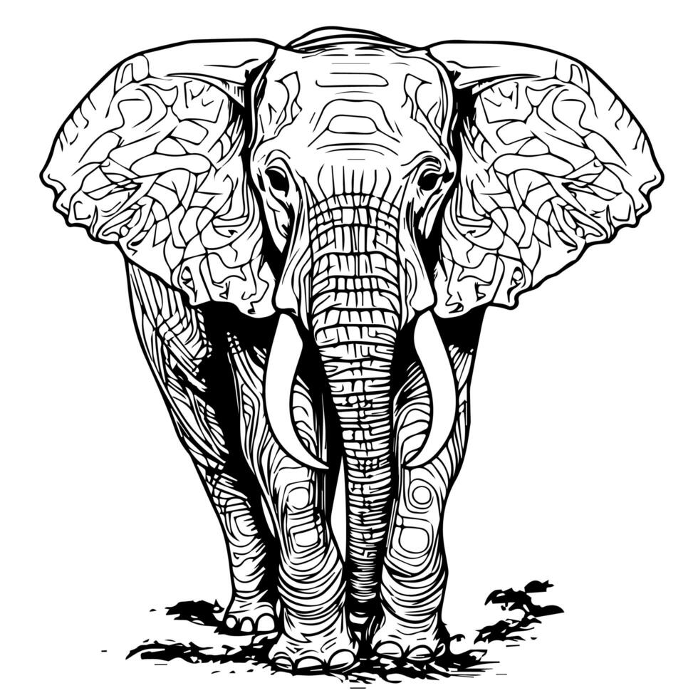 lijn kunst olifant kleur bladzijde ontwerp foto