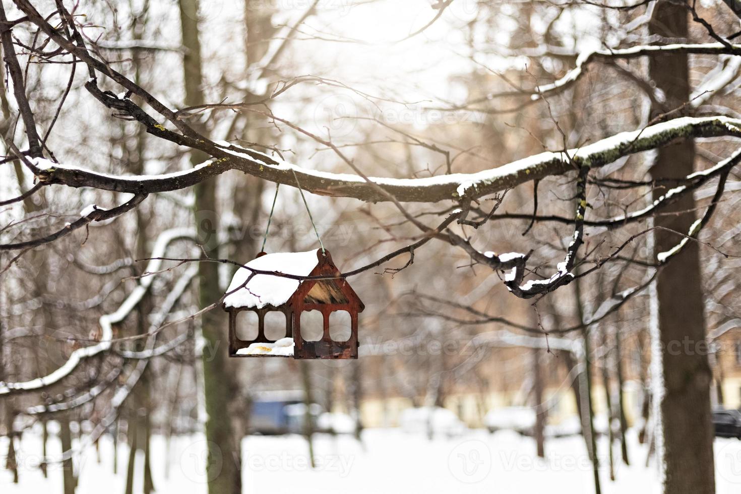 houten vogelhuisje voor het voeren van vogels onder de sneeuw op een boomtak. wintertijd foto