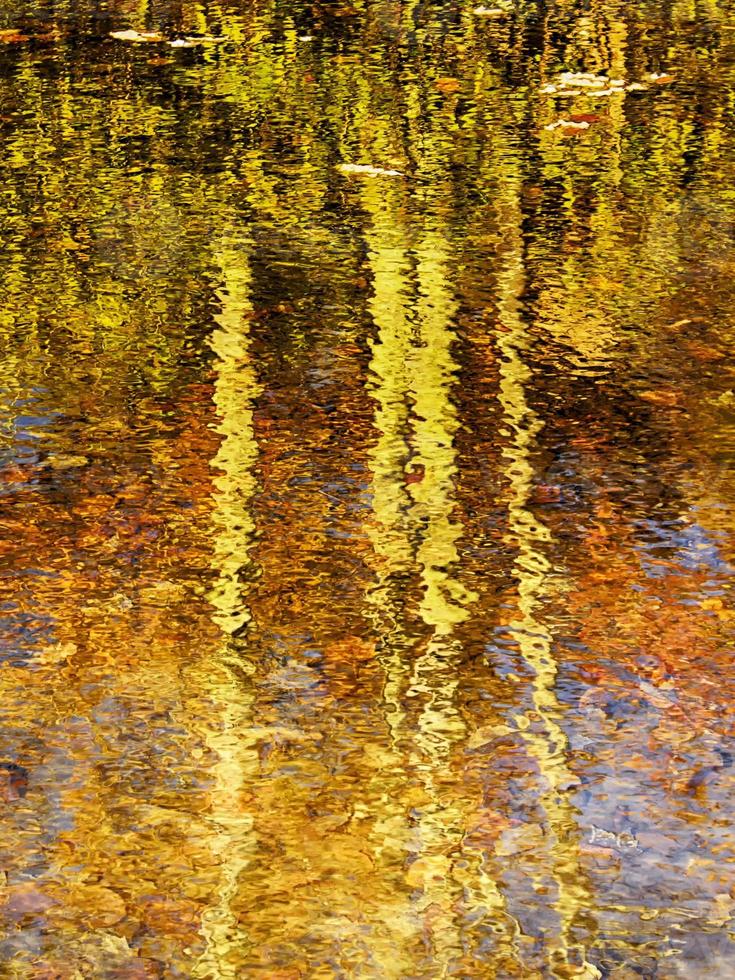 weerspiegeling van herfstbomen foto