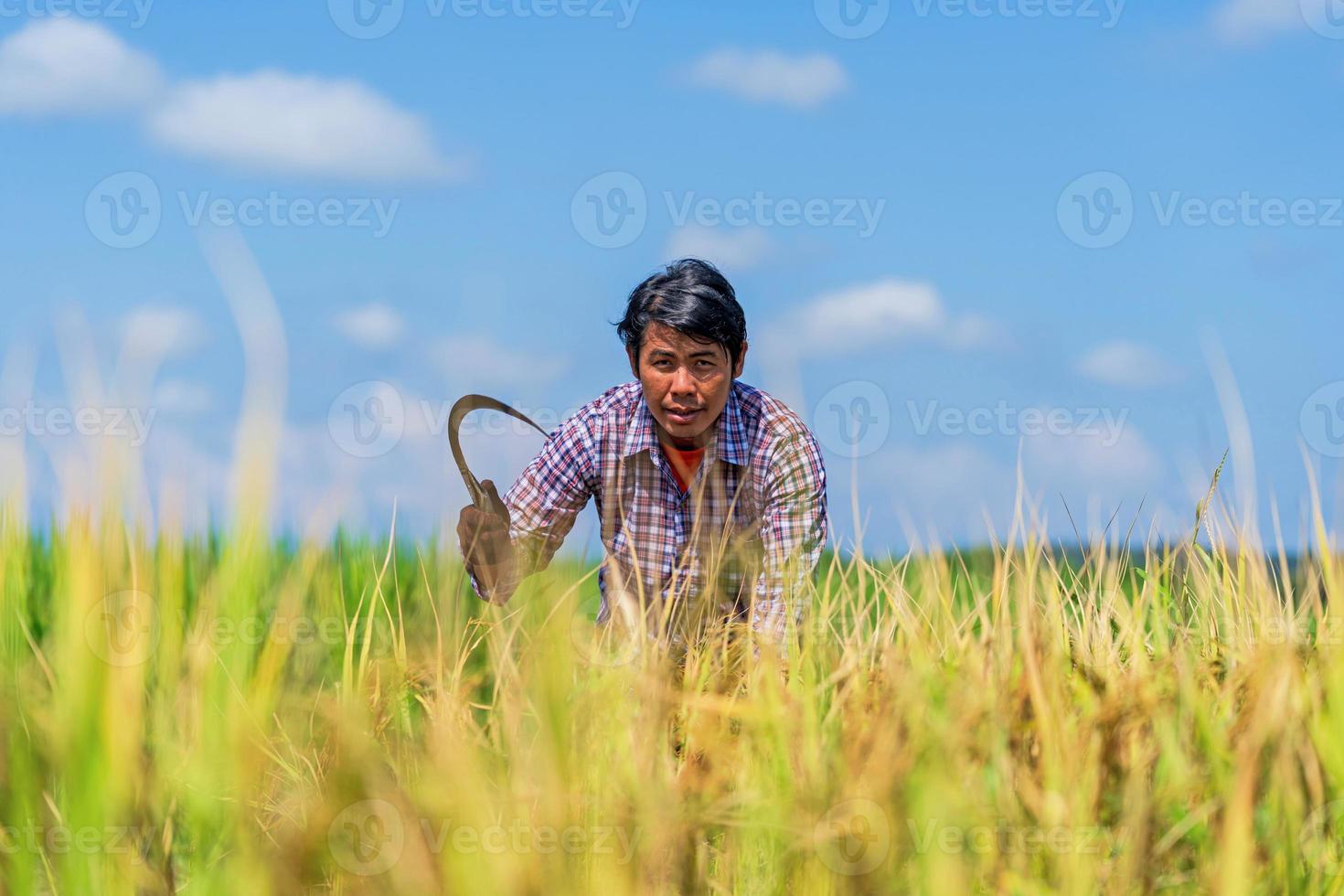 Aziatische boer aan het werk in het rijstveld onder de blauwe lucht foto