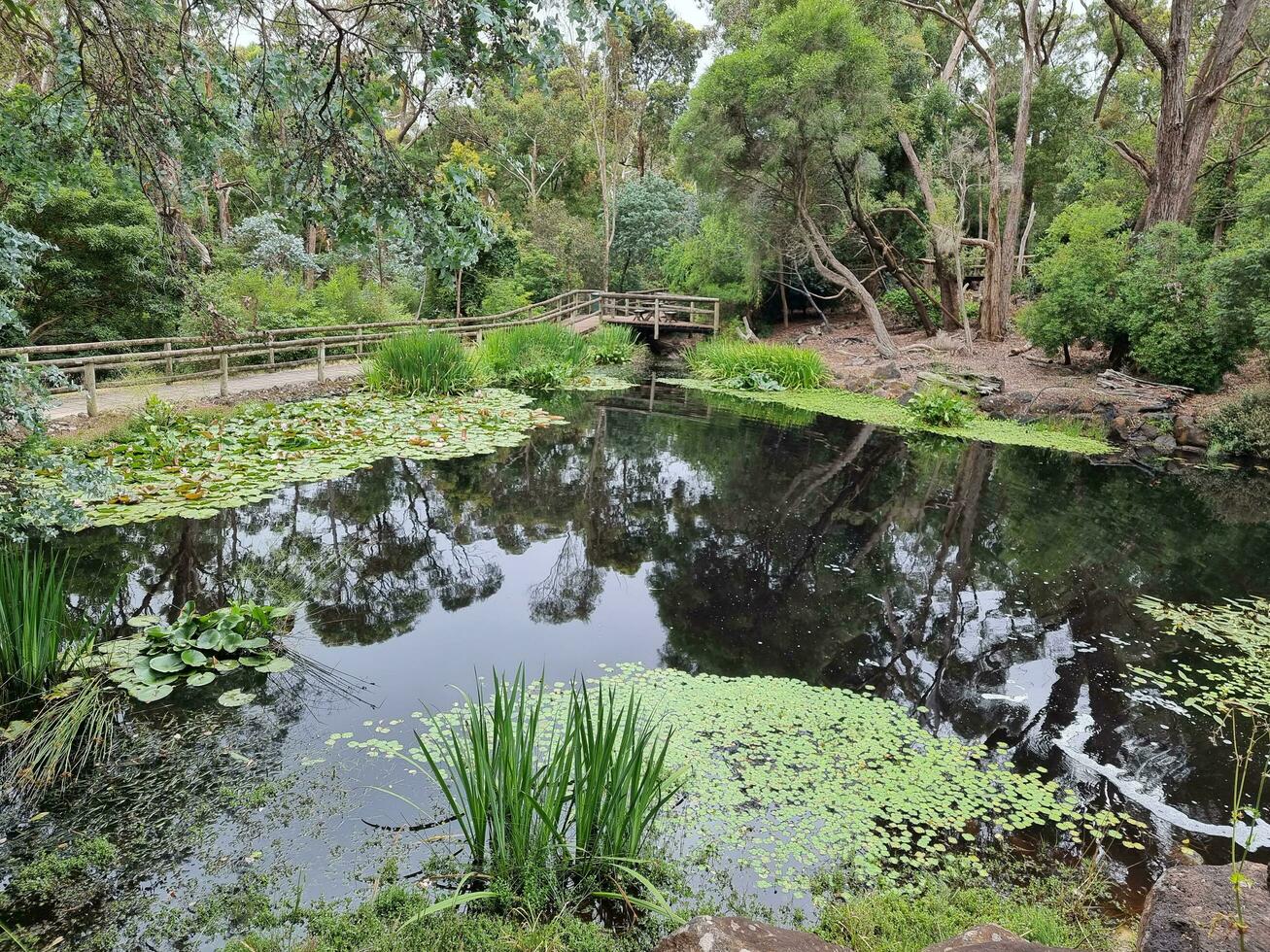 ballarat tuinen, Victoria, Australië foto