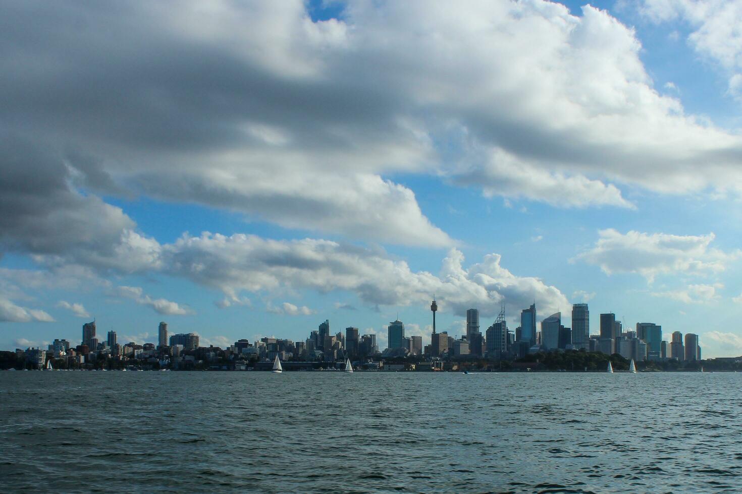 Sydney stadsgezicht van de haven foto