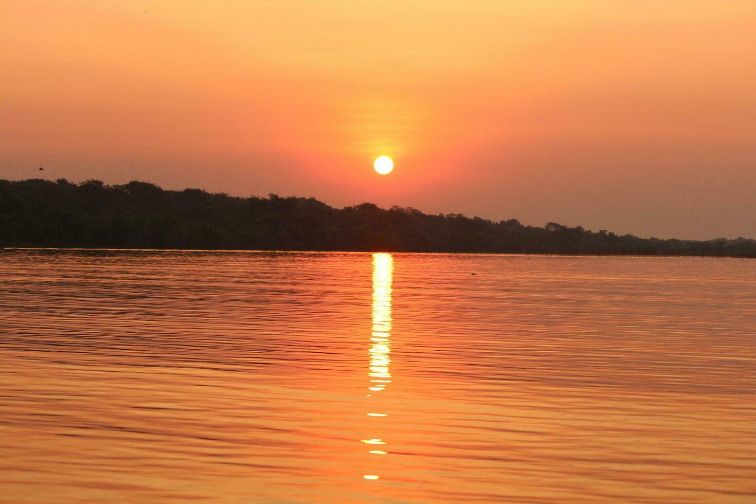 ton sap meer, Cambodja foto