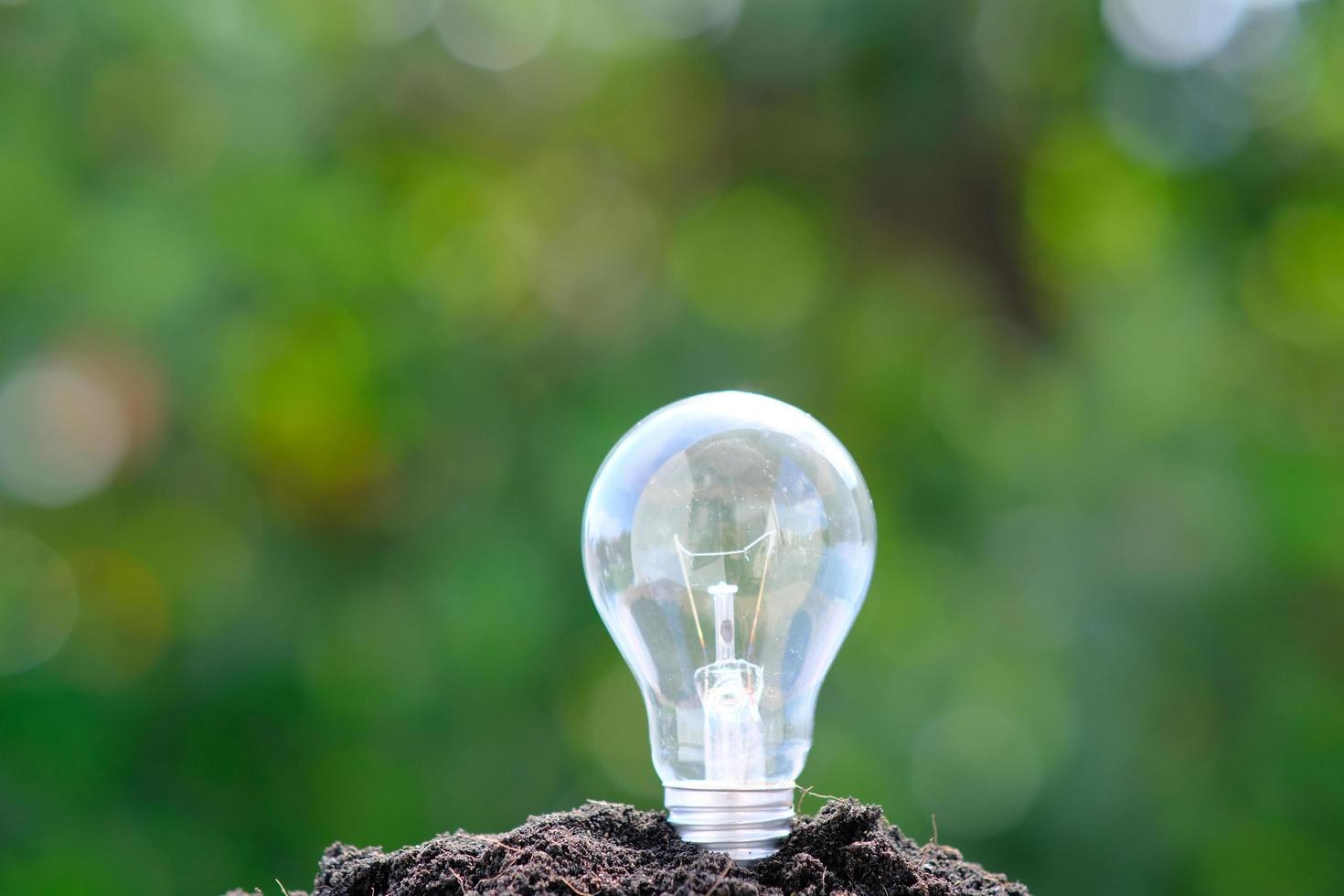 gloeilamp in grond op een groene bokehachtergrond foto