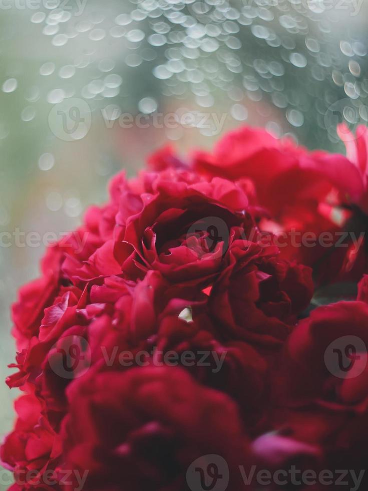 boeket rode rozen op de achtergrond van het raam foto