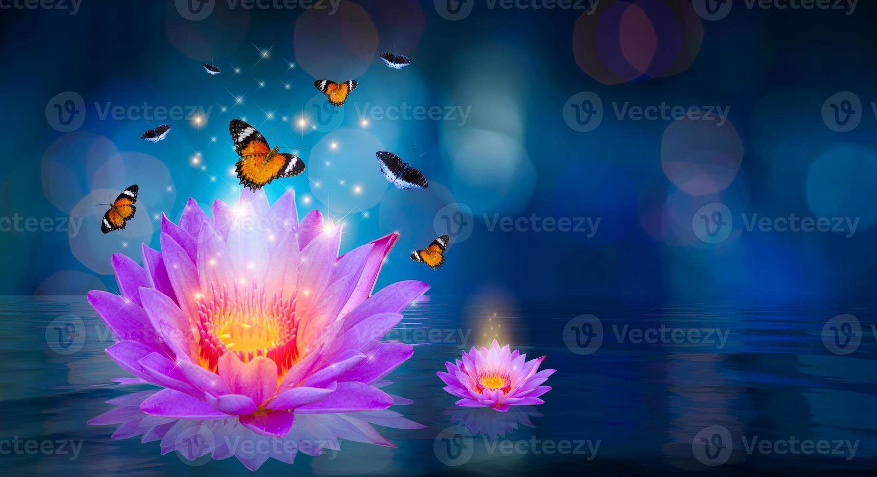 vlinders vliegen rond de paarse lotus drijvend op het water bokeh foto