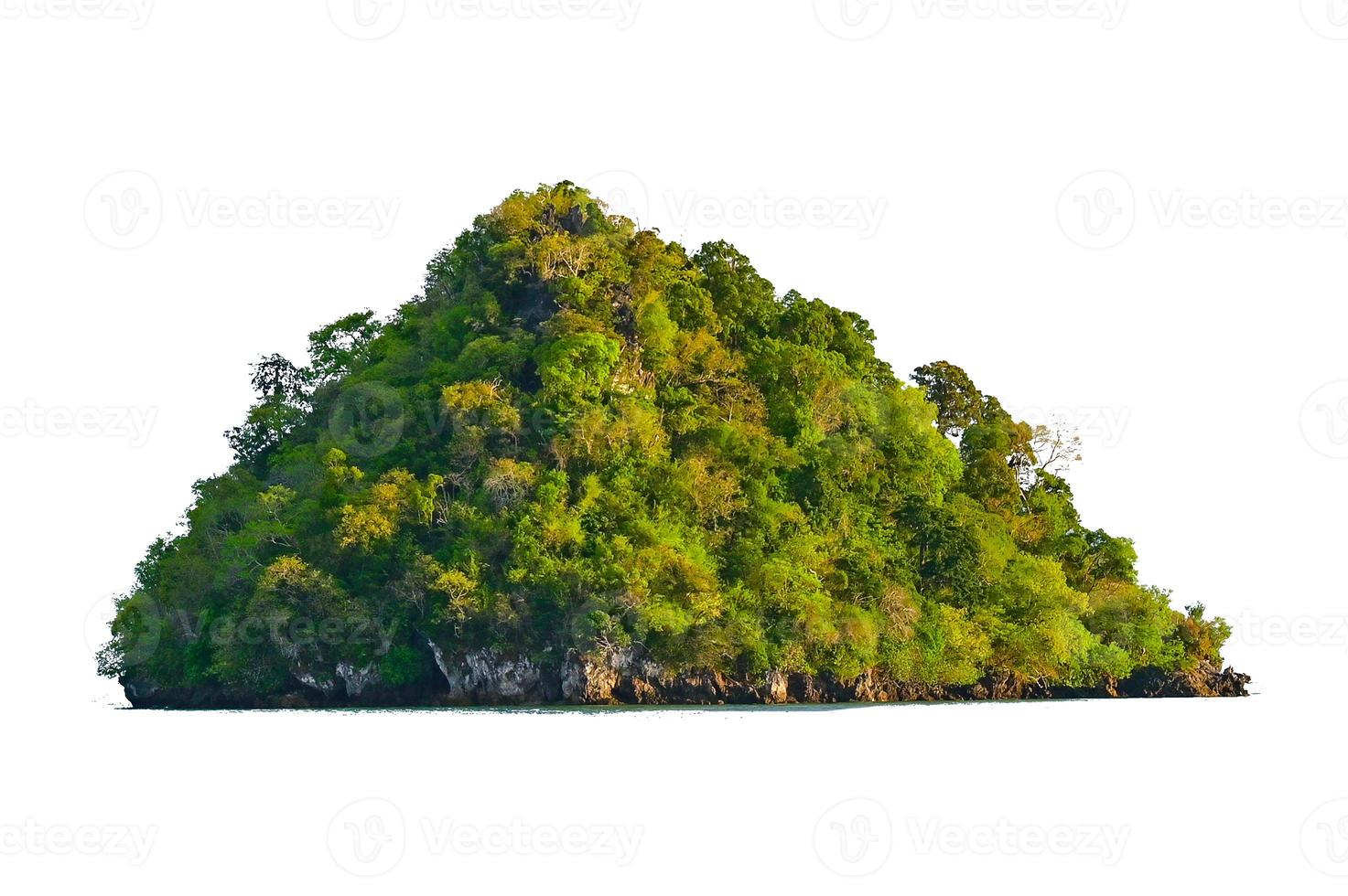 isoleer het eiland in het midden van de groene zee witte achtergrond gescheiden van de achtergrond foto