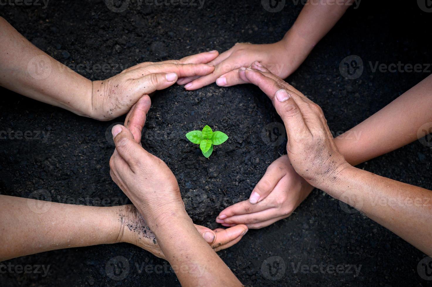 milieu aarde dag in de handen van bomen die zaailingen kweken. bokeh groene achtergrond vrouwelijke hand met boom op natuur veld gras bosbehoud concept foto