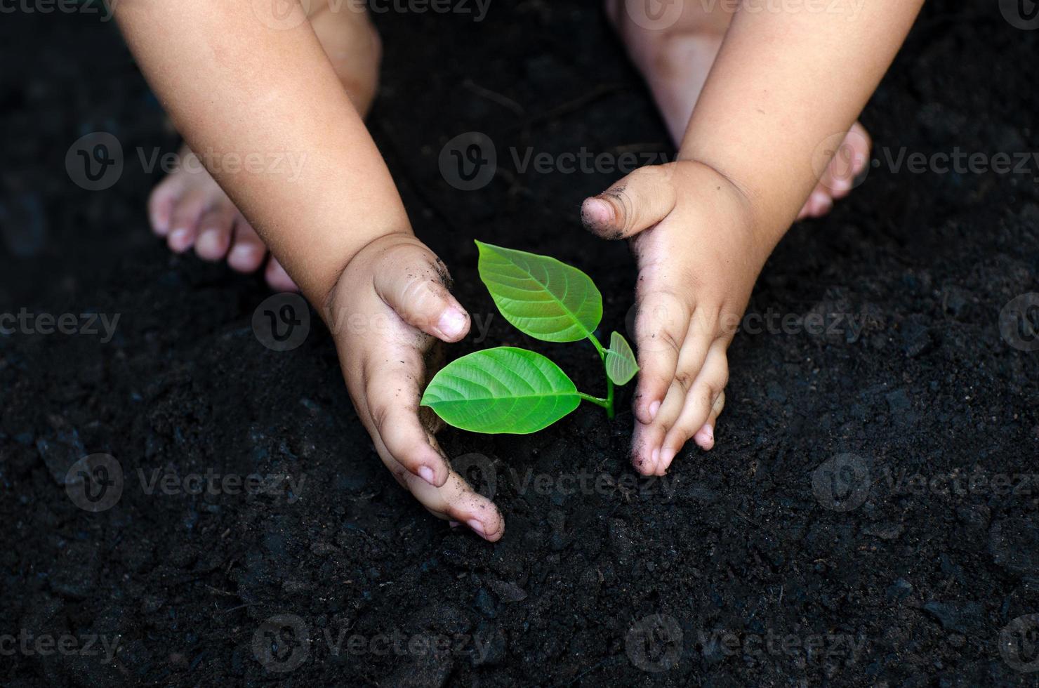 boom jonge boom baby hand op de donkere grond, het concept implanteerde het bewustzijn van kinderen in de omgeving foto