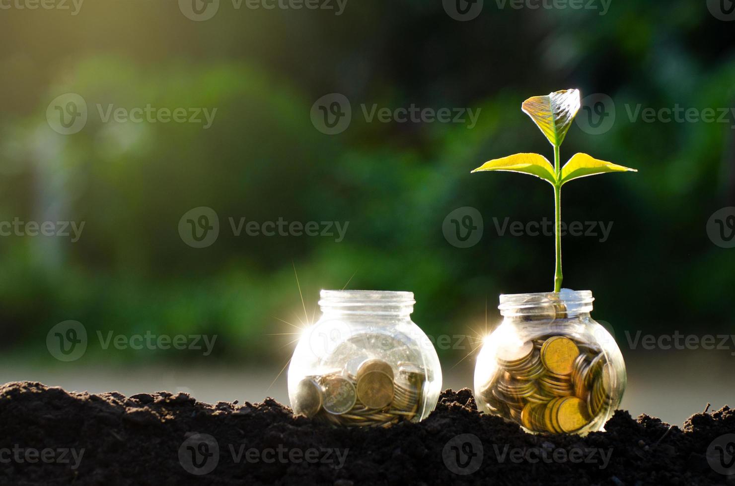 gouden medaille munt boom glazen pot plant groeit van munten buiten de glazen pot op wazig groene natuurlijke achtergrond geld besparen en investeringen financieel concept foto