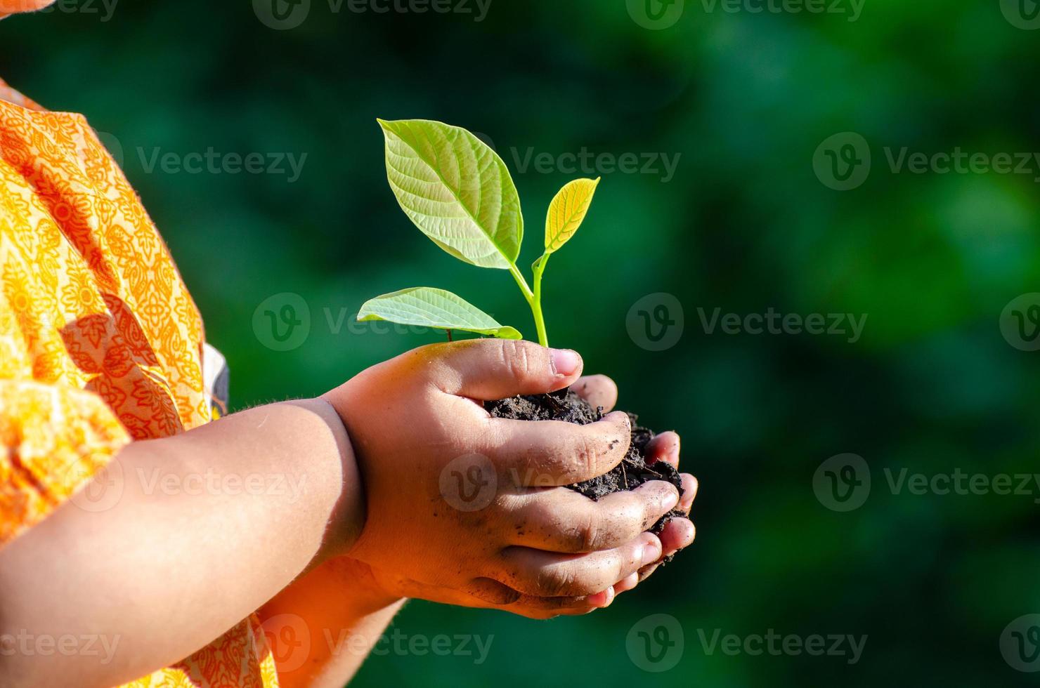 boom jonge boom baby hand op de donkere grond, het concept implanteerde het bewustzijn van kinderen in de omgeving foto