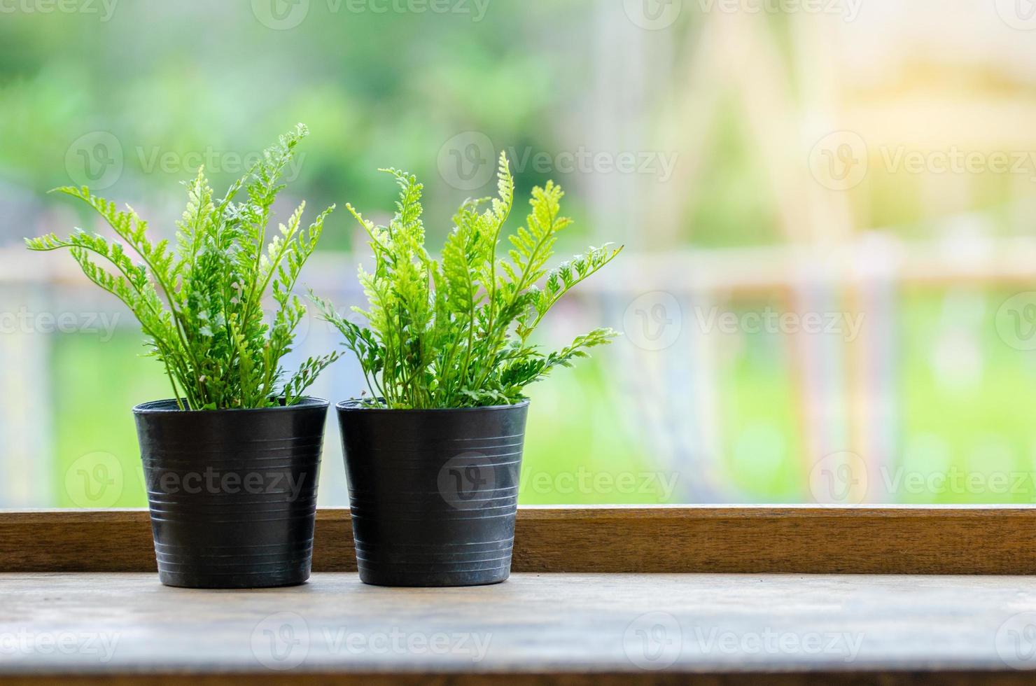 een houten pot wordt op een houten vloer geplaatst groene achtergrond tegenhanger foto