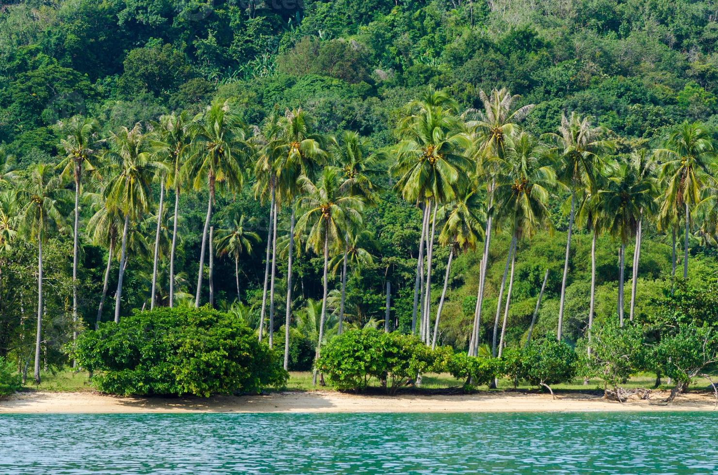 kokos strand hebben een berg andaman zee thailand krabi foto