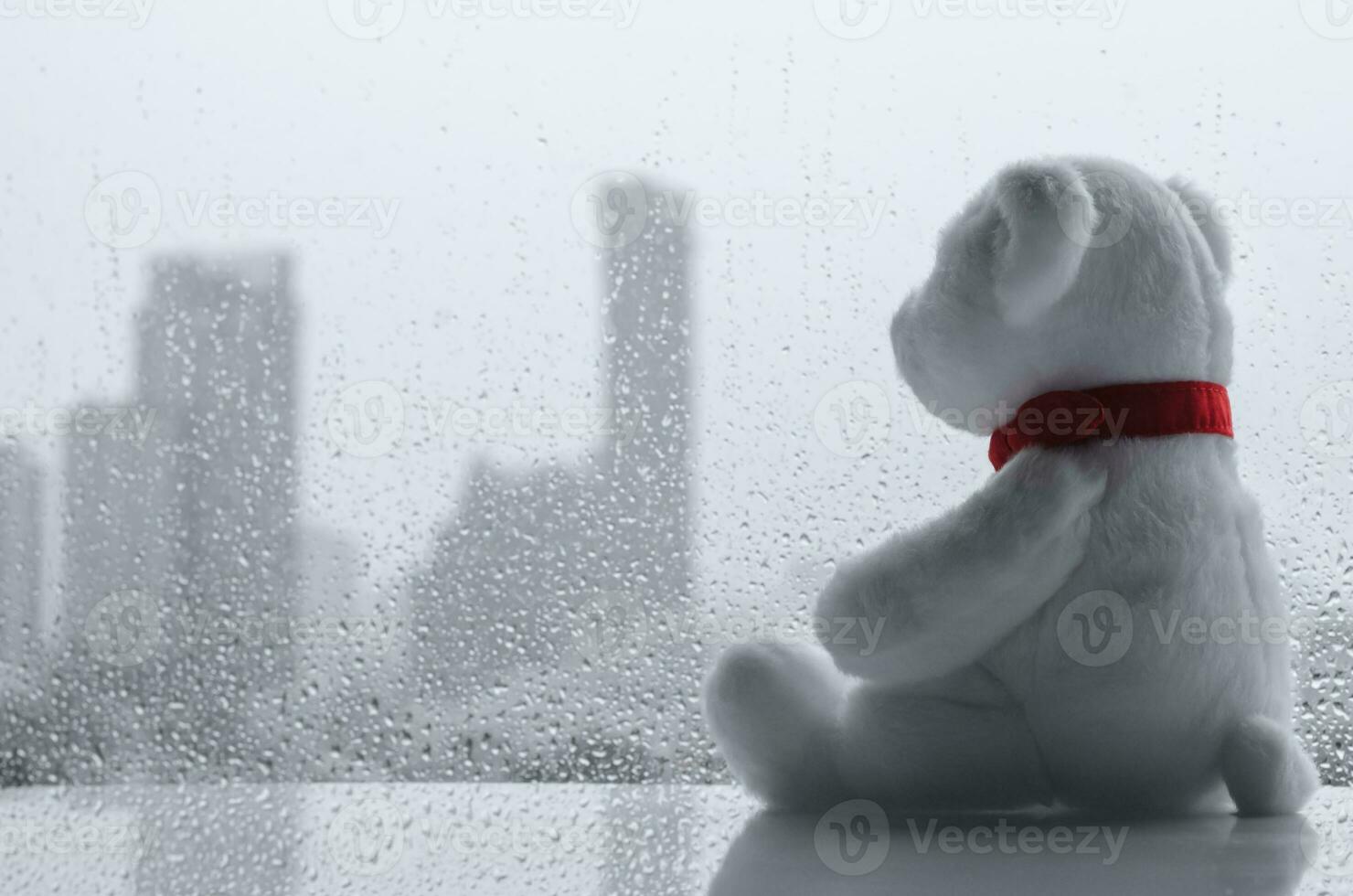 wit teddy beer zittend alleen en kijken Bij venster in regenachtig dag. foto
