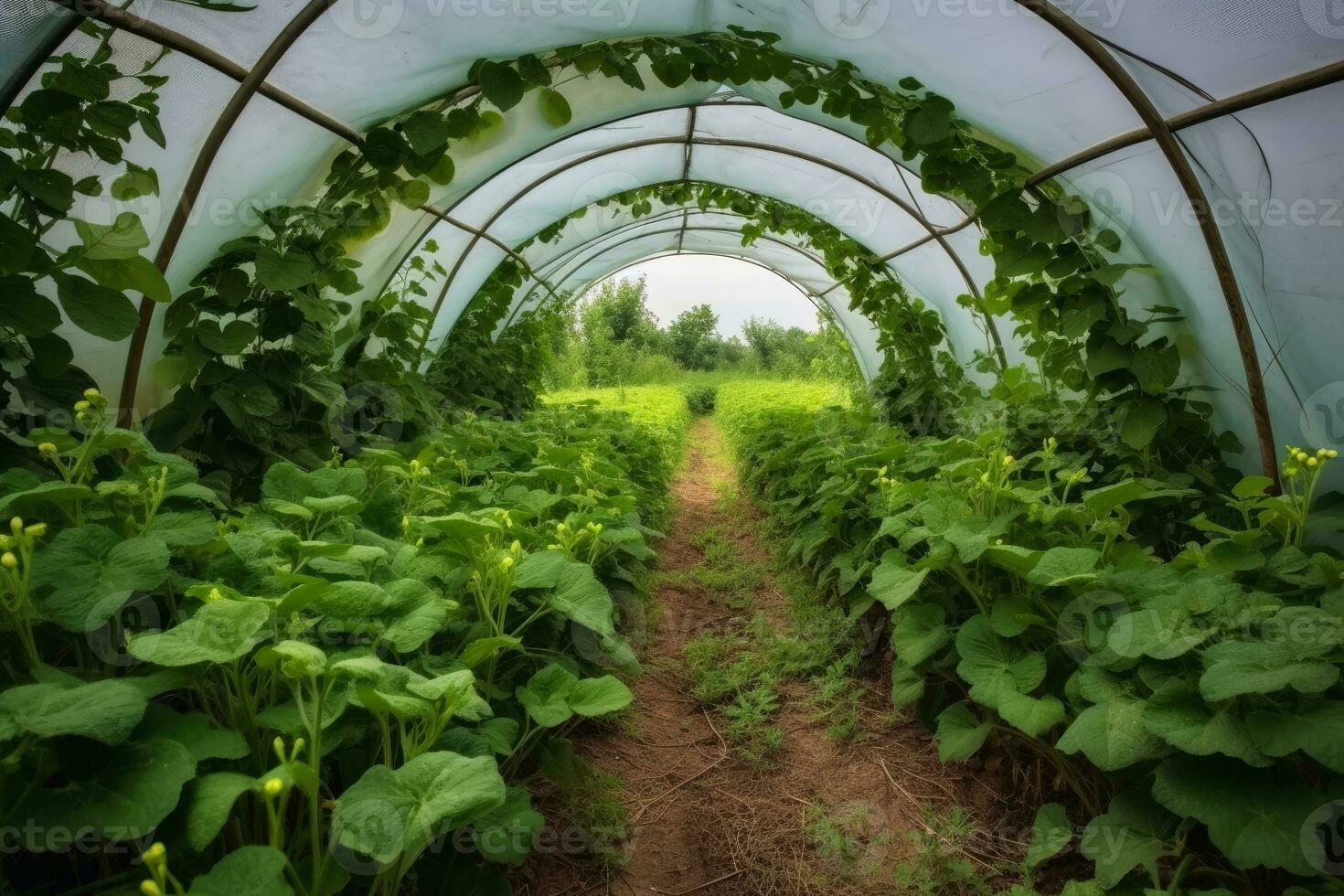 visie van een groot kas van binnen voor groente productie gemaakt met generatief ai technologie. foto