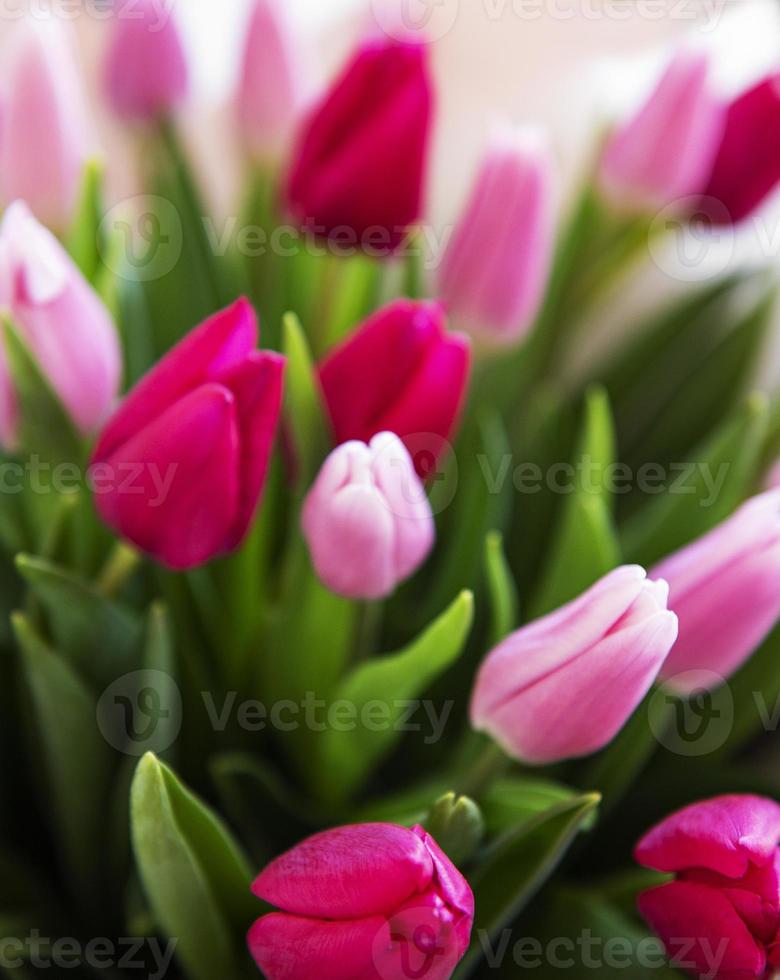 mooi tulpenboeket foto