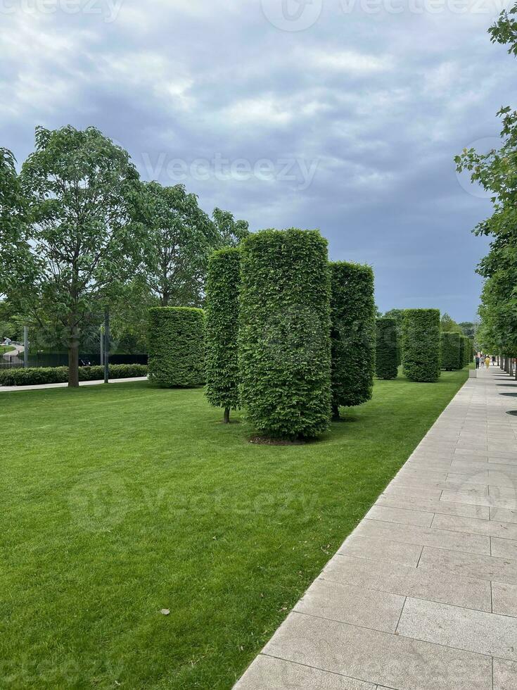 stad park, bijgesneden bomen en gras, wandelen Oppervlakte foto