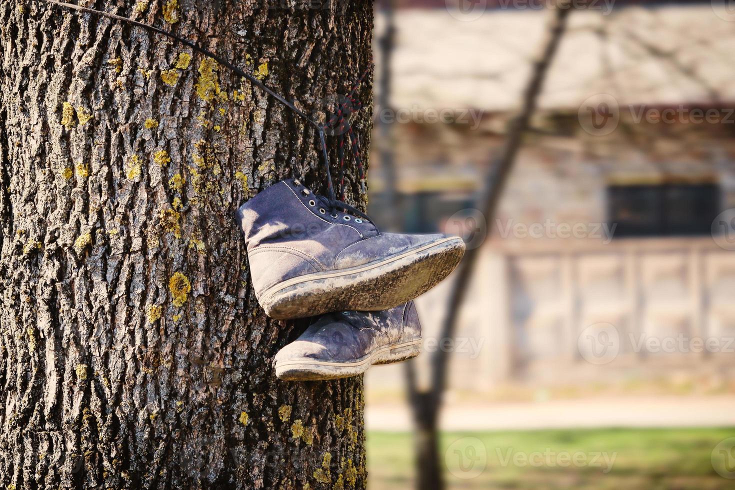 oude vuile laarzen die aan een boomstam hangen met een getextureerde schors op de achtergrond van het gebouw foto