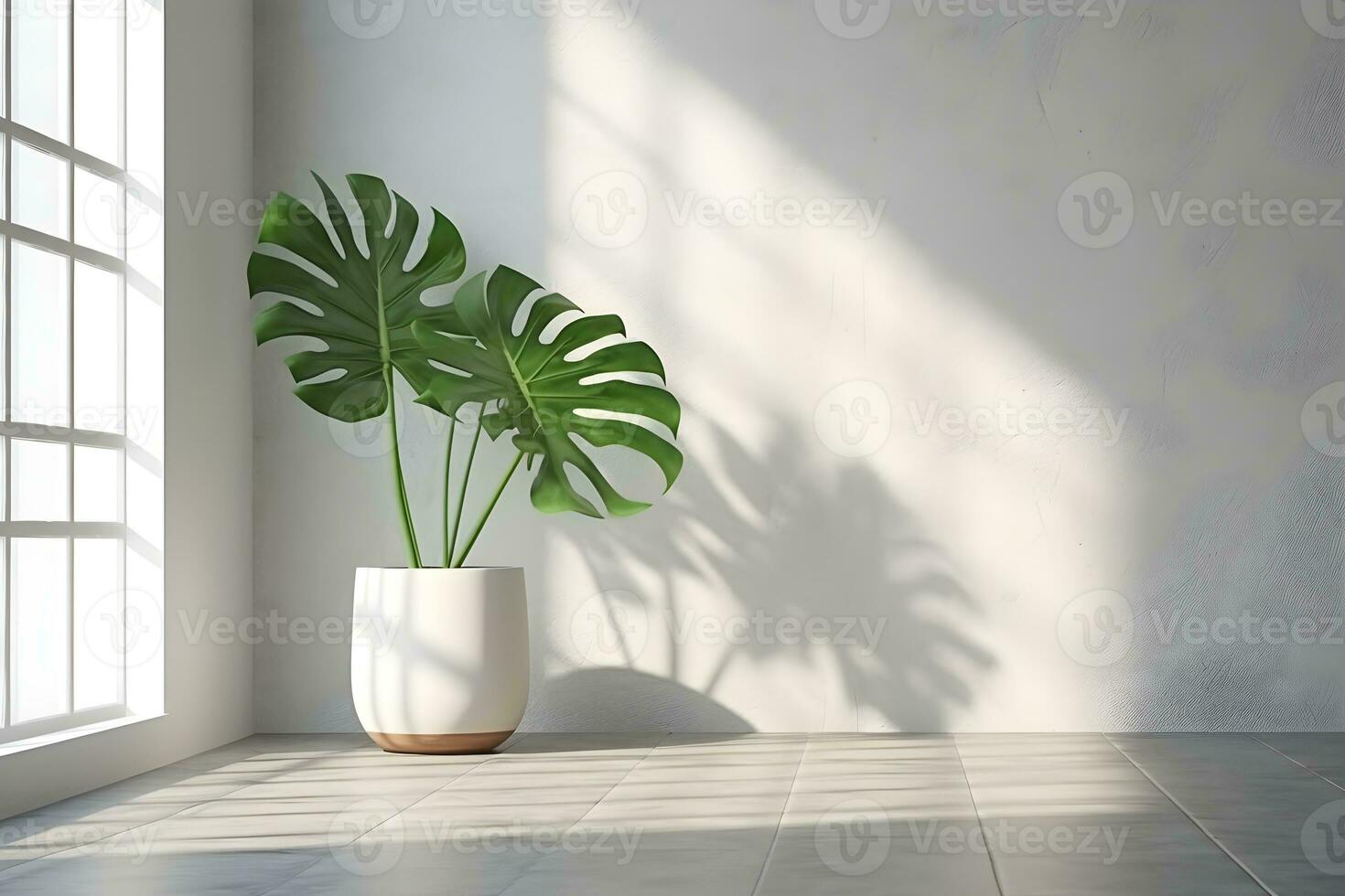 monstera blad in een studio kamer met een venster schaduw ai gegenereerd foto