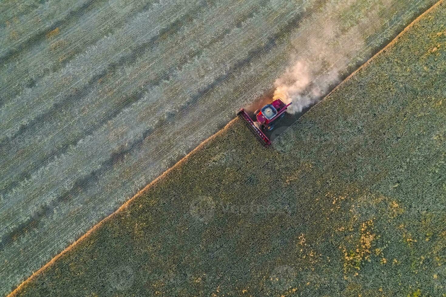 tarwe oogst in de Argentijns platteland, la pampa provincie, Patagonië, Argentinië. foto