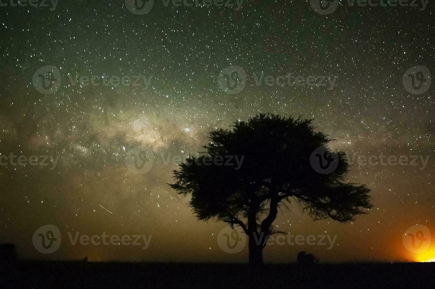 pampa landschap gefotografeerd Bij nacht met een sterrenhemel lucht, la pampa provincie, Patagonië , Argentinië. foto