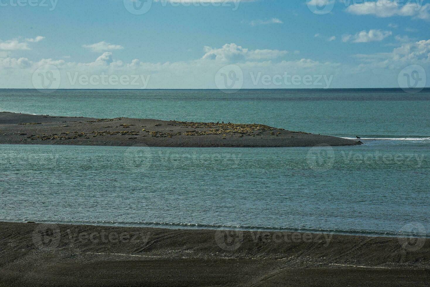 caleta valdes natuur reserveren landschap, in schiereiland valdes, UNESCO wereld erfgoed plaats, Patagonië Argentinië foto