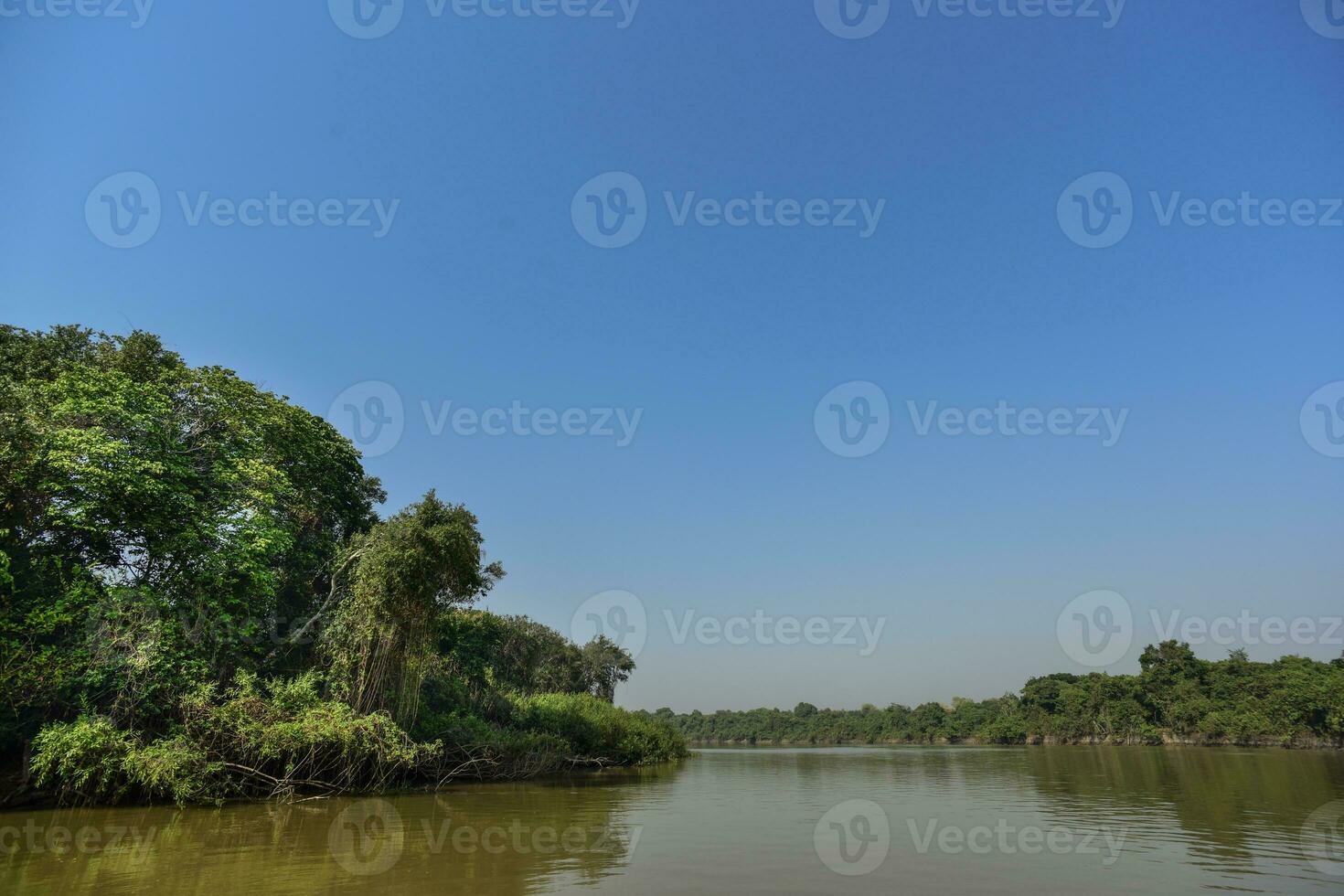 pantanal Woud ecosysteem, mato grof, Brazilië foto