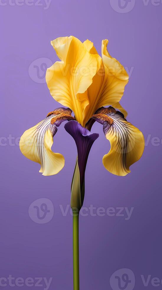 iris bloem Purper bloemblad wazig achtergrond. ai gegenereerd foto