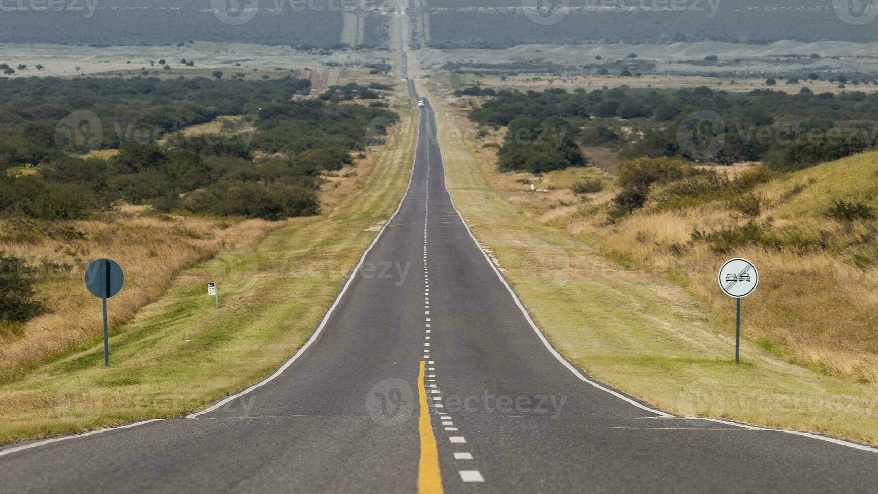 gebloeid veld- in de pampa vlak, la pampa provincie, Patagonië, Argentinië. foto