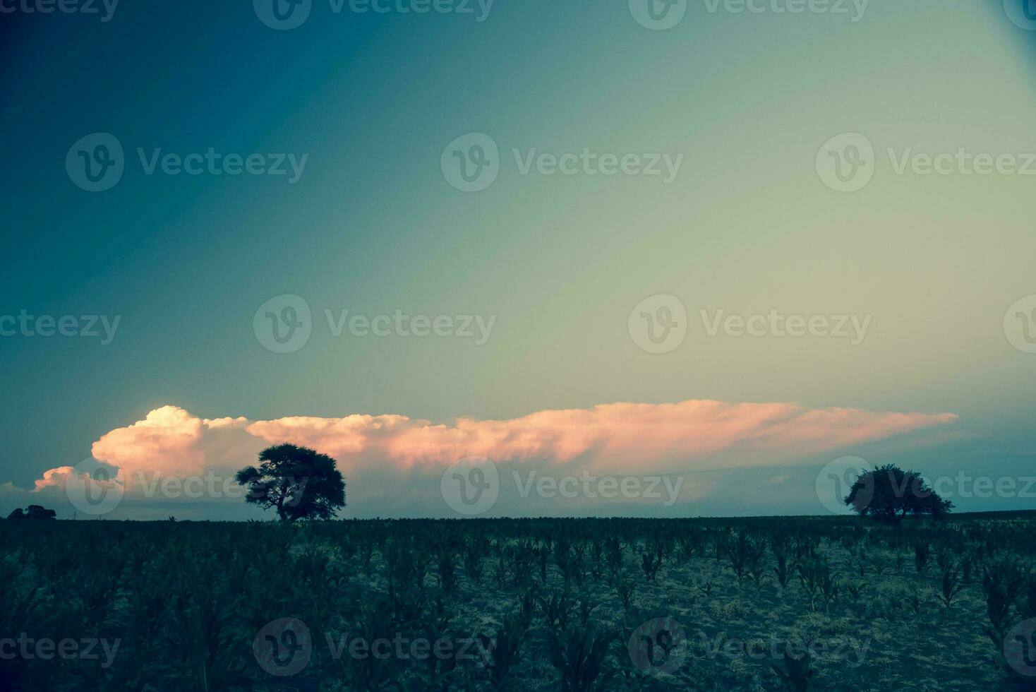 storm regen in landelijk landschap, la pampa provincie, Patagonië, Argentinië. foto