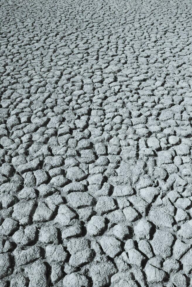 gebroken bodem in pampa milieu , Patagonië, Argentinië. foto