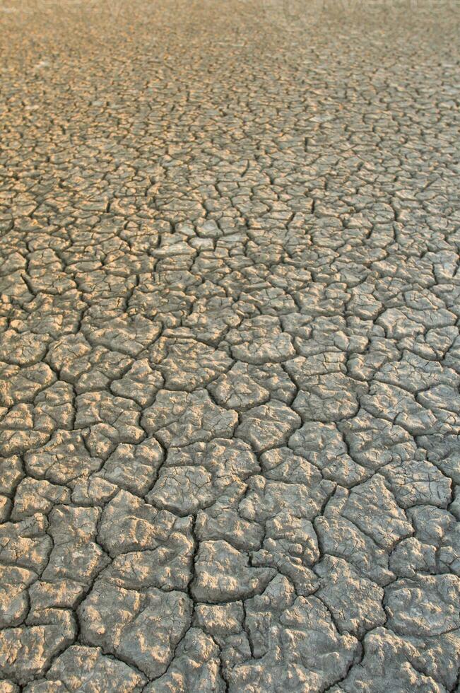 gebroken bodem in pampa milieu , Patagonië, Argentinië. foto