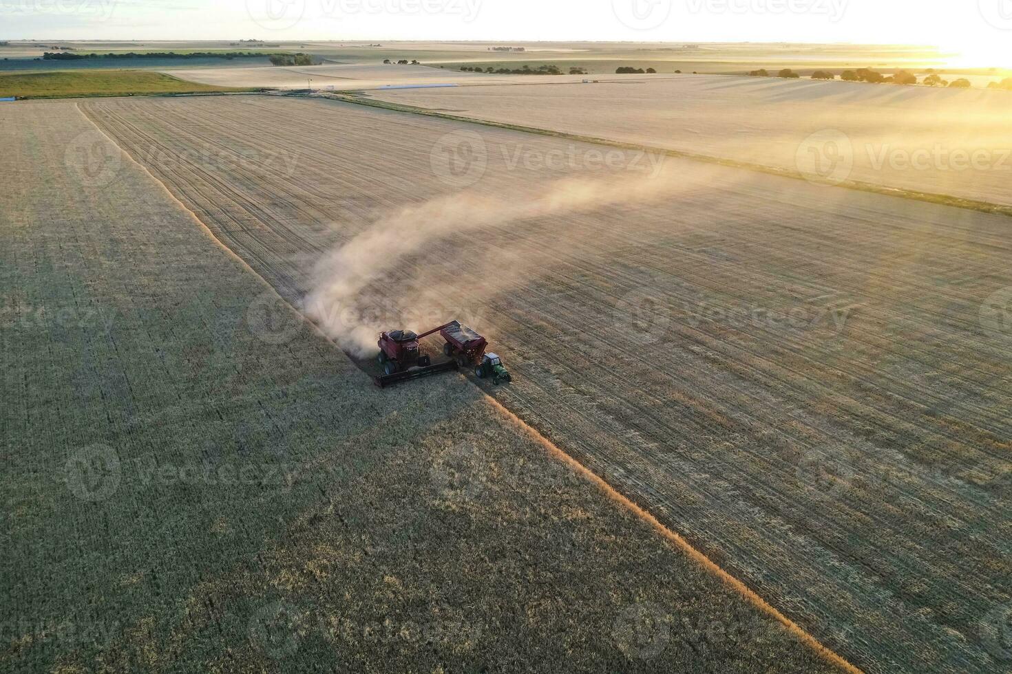 gerst oogst antenne visie, in la pampa, Argentinië. foto