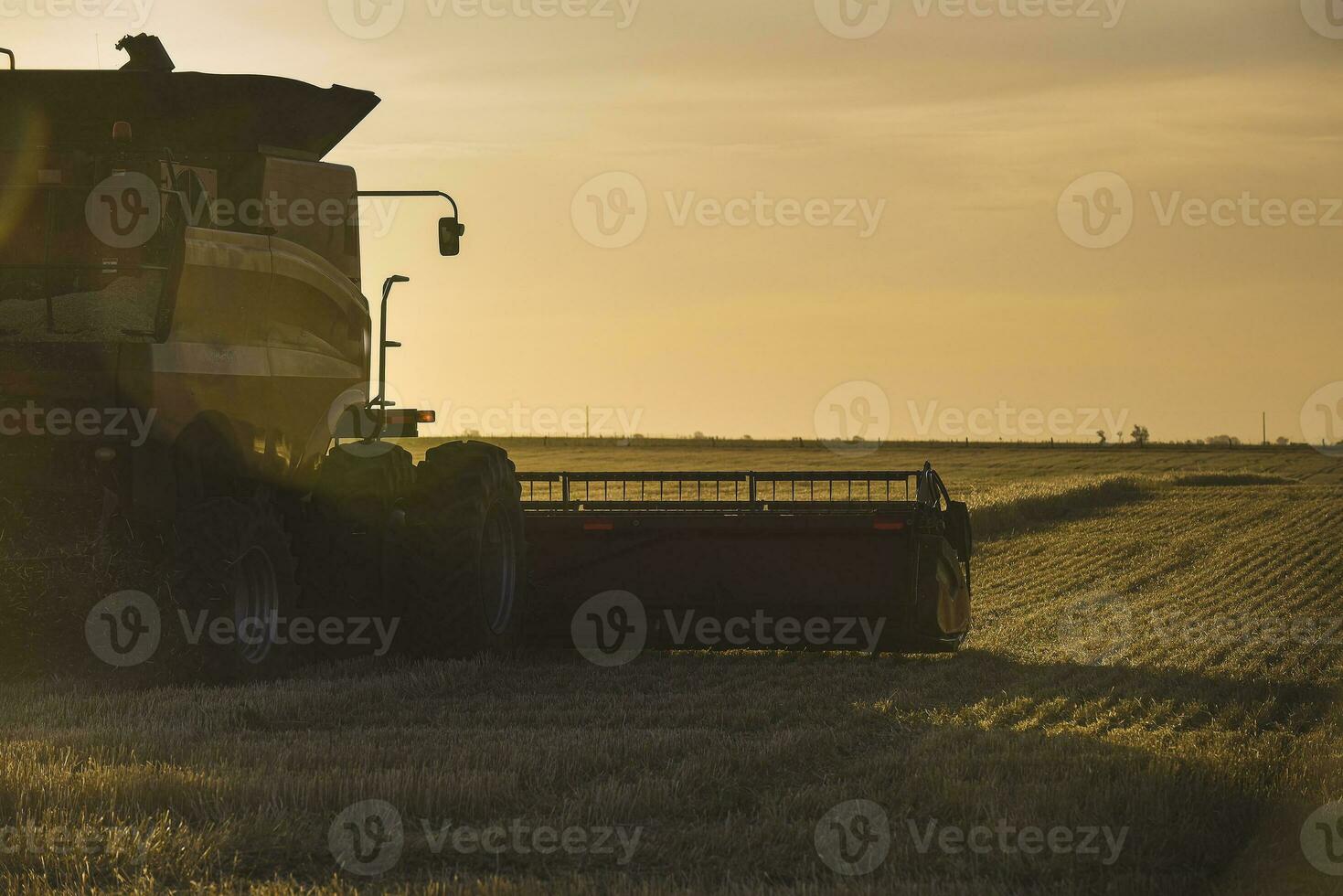 oogstmachine machine, oogsten in de Argentijns platteland, buenos aires provincie, Argentinië. foto