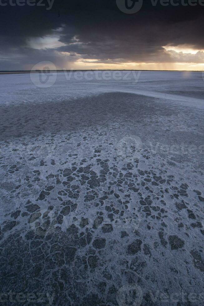 gebroken droog bodem in een pampa lagune, la pampa provincie, Patagonië, Argentinië. foto