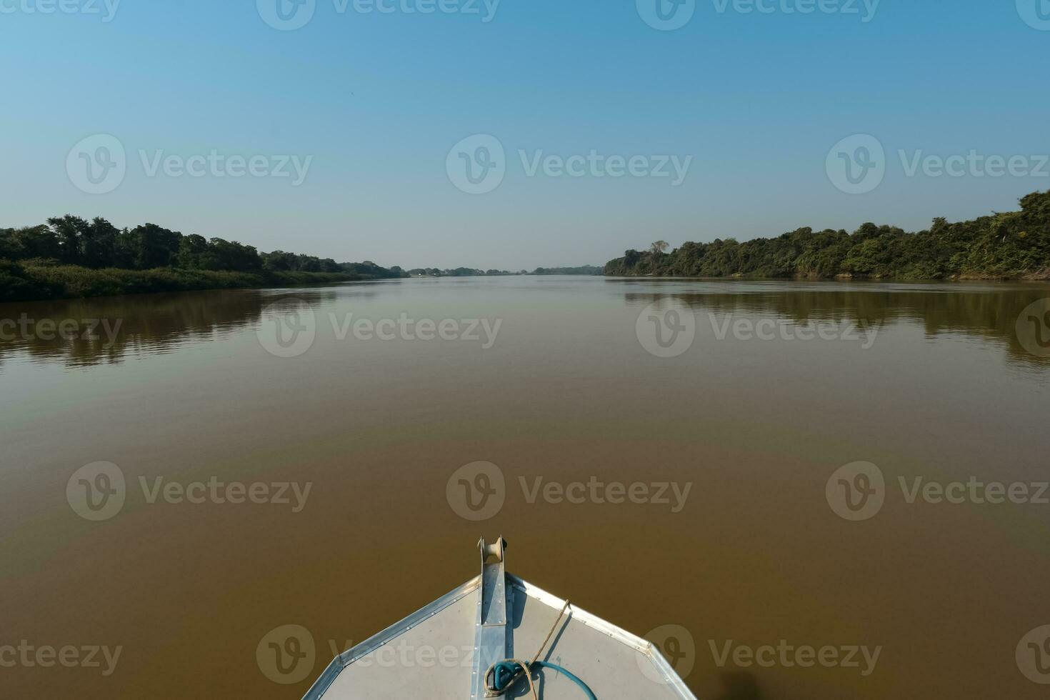rivier- landschap en oerwoud, pantanal, Brazilië foto