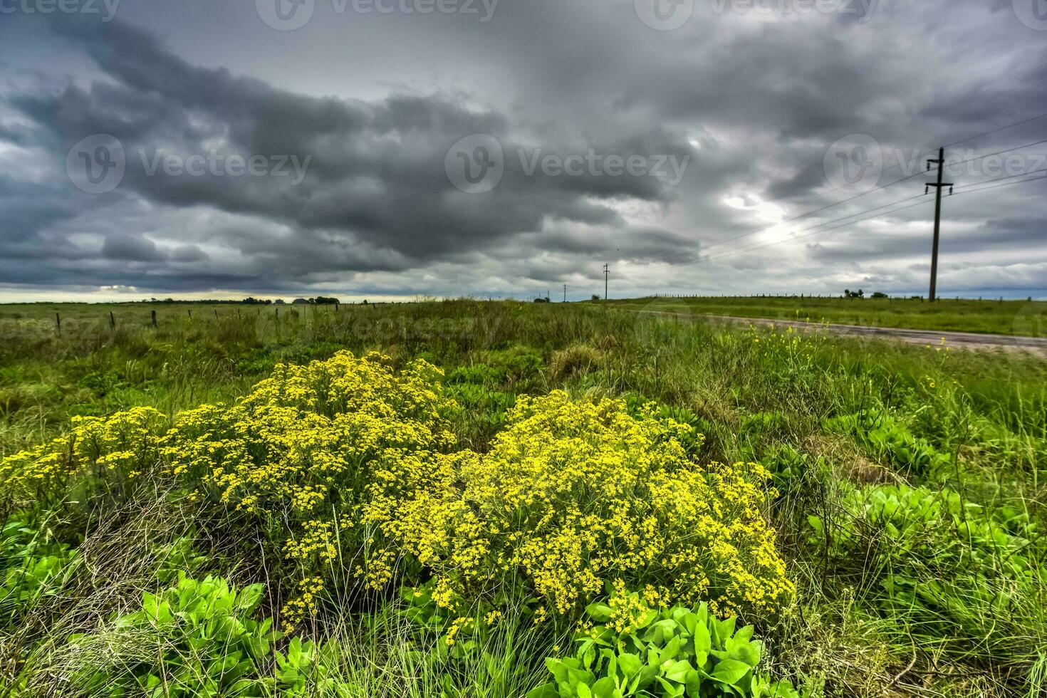 landelijk landschap stormachtig, buenos aires provincie , Argentinië foto