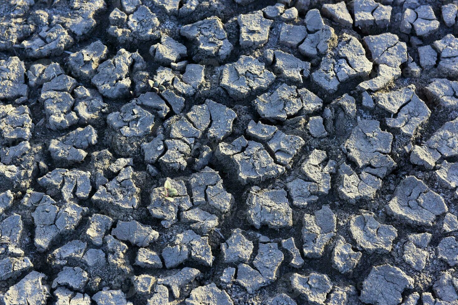 gebarsten grond patroon in de woestijn, la pampa, Argentinië foto