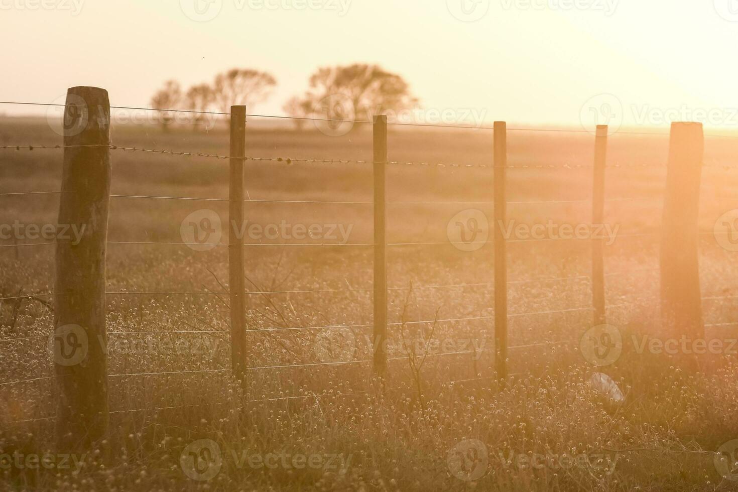 draad hek Bij zonsondergang in de Argentijns platteland. foto