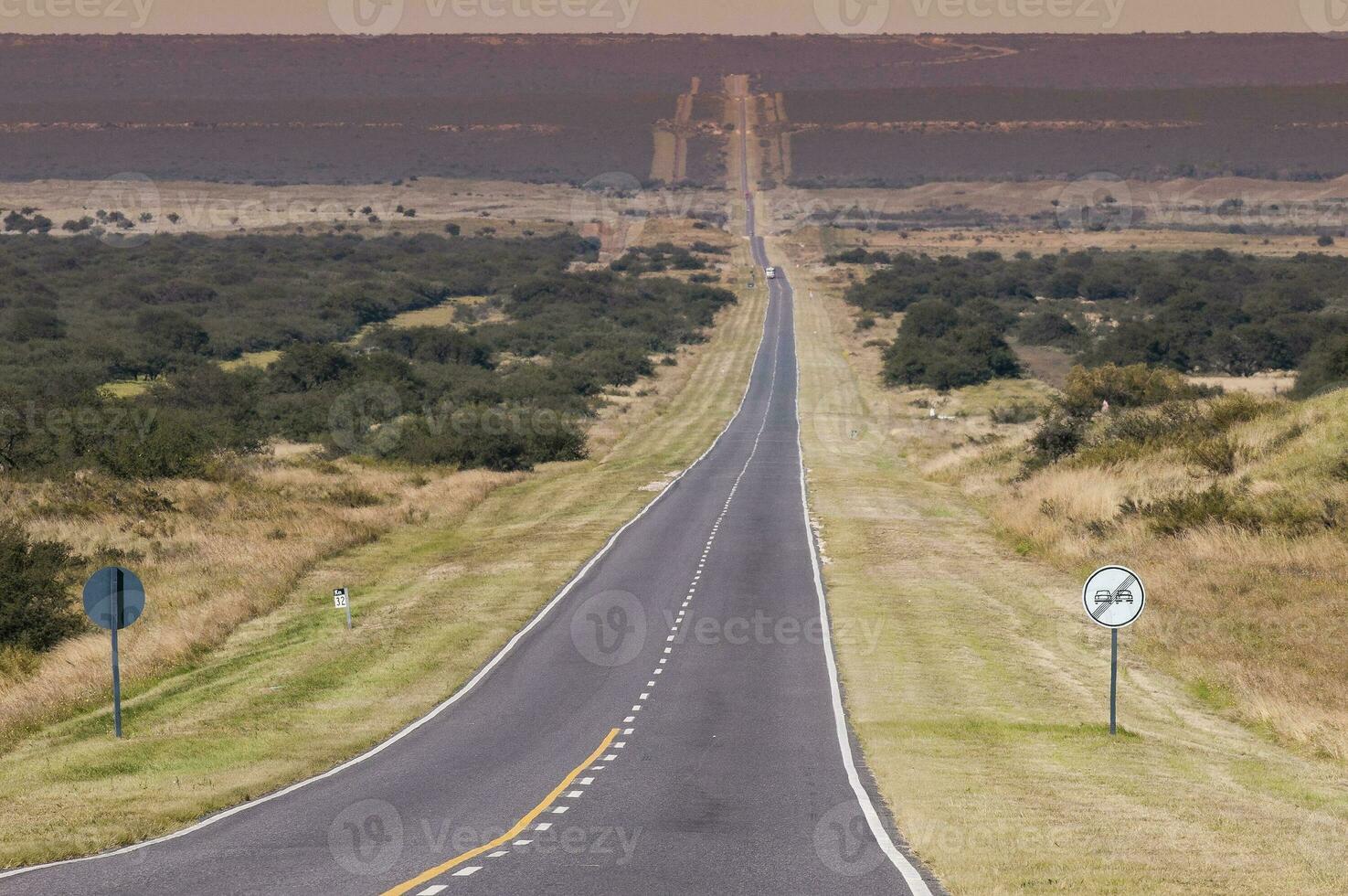 gebloeid veld- in de pampa vlak, la pampa provincie, Patagonië, Argentinië. foto