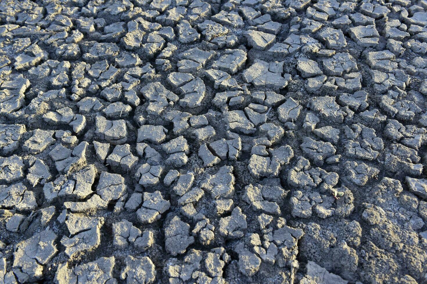 gebarsten grond patroon in de woestijn, la pampa, Argentinië foto