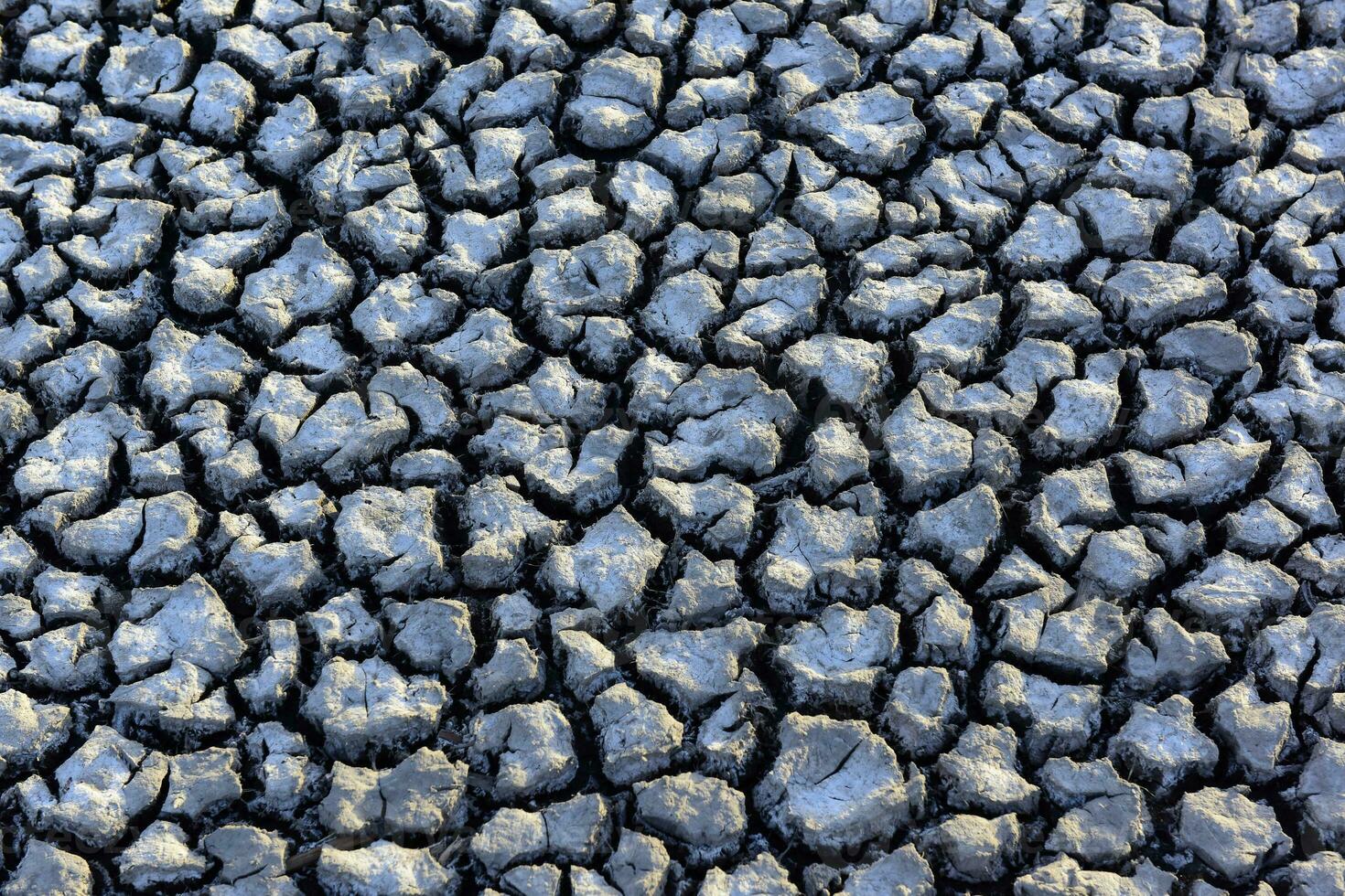 gebarsten grond patroon in de woestijn, la pampa, Argentinië foto