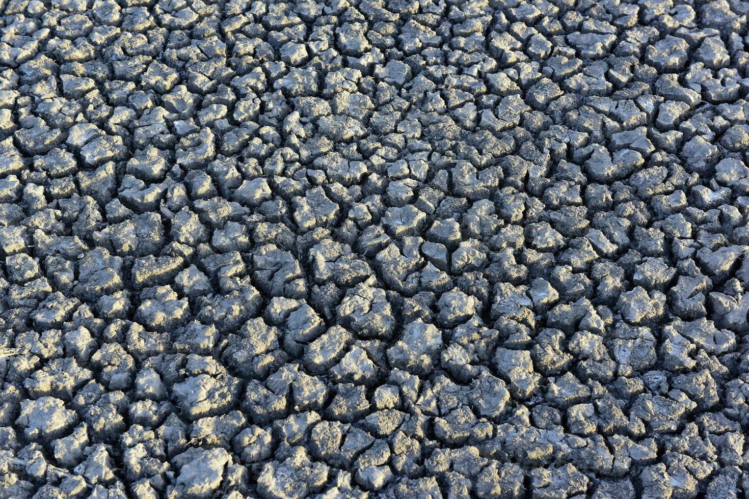 gebarsten grond patroon in de woestijn, la pampa, Argentinië foto