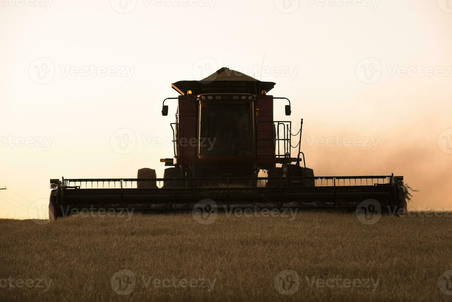 oogstmachine machine, oogsten in de Argentijns platteland, buenos aires provincie, Argentinië. foto