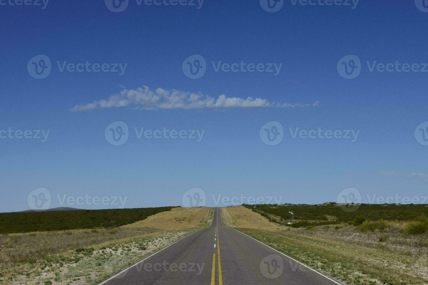 weg in de pampa gewoon, la pampa provincie, Patagonië, Argentinië foto