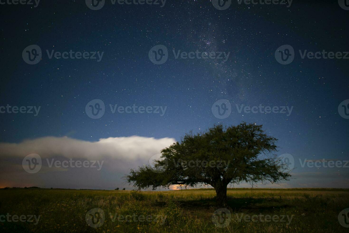 pampa landschap gefotografeerd Bij nacht met een sterrenhemel lucht, la pampa provincie, Patagonië , Argentinië. foto