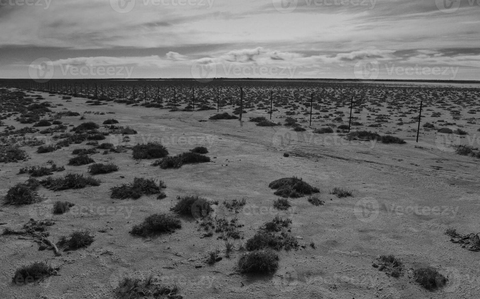 zout bodem in een semi woestijn omgeving, la pampa provincie, Patagonië, Argentinië. foto